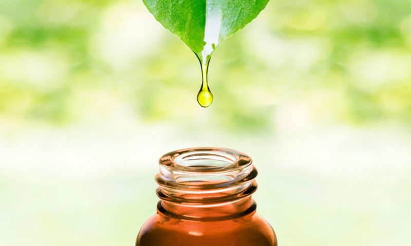 Natural Oily Skincare Products