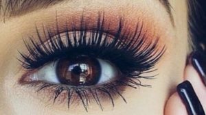Introduction to Eyelash Extensions