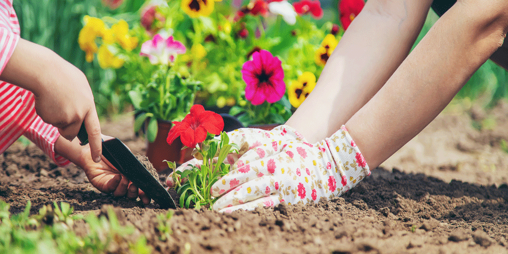 Get the Garden Ready for Planting