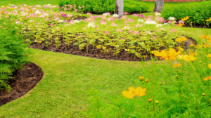 Landscaping Services to Transform Your Outdoor Space