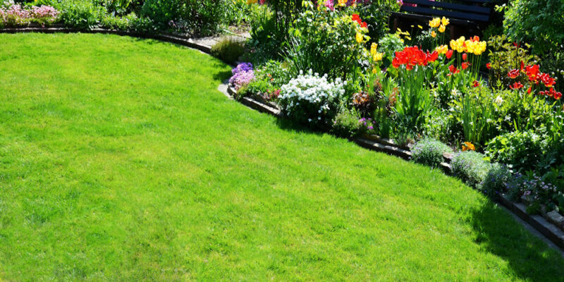 Artificial Grass is a Great Choice for Homes