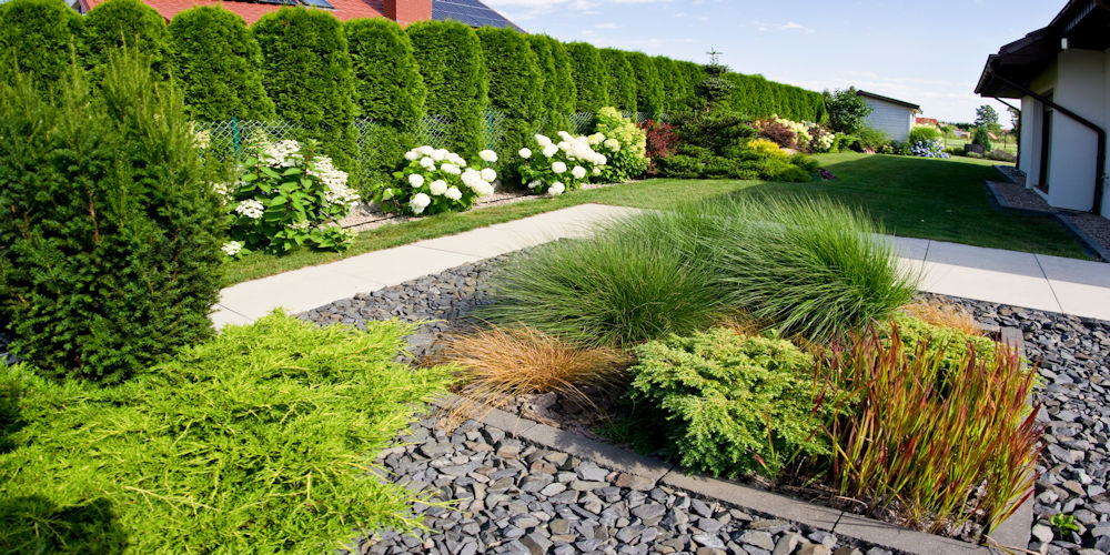 Professional Landscape Gardener